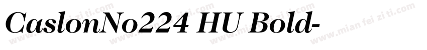CaslonNo224 HU Bold字体转换